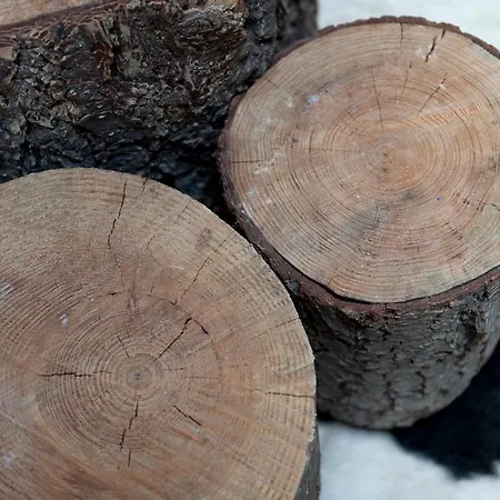 乡村民宿 库尔8阁楼酒店 *