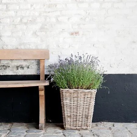 乡村民宿 库尔8阁楼酒店 马斯特里赫特