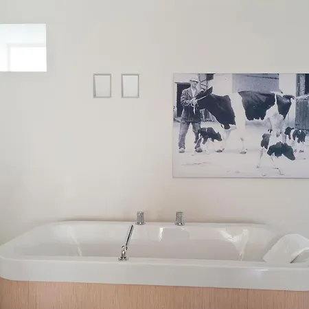 Cour 8 Lofts Kır Evi